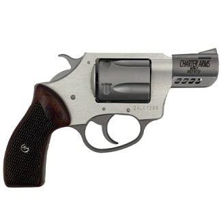 Charter Coyote .380 2″